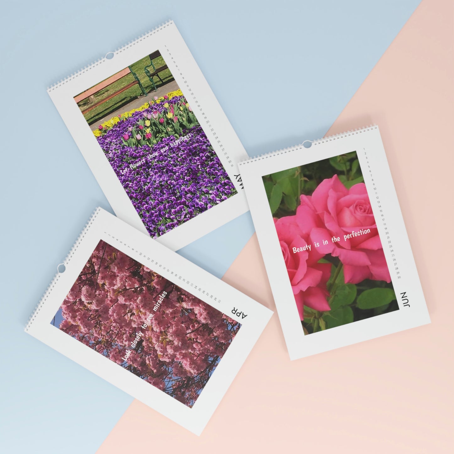 Wall Calendar (2023)