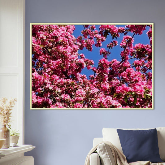 Sakura pink cherry blossom Museum-Quality Matte Paper Metal Framed Poster (US & CA)